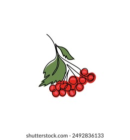 Viburnum branch continuous line drawing, red berries and green leaves on tree branches, opulus, eco icon, tattoo, print, logo design, single line on white background, isolated vector hand drawn