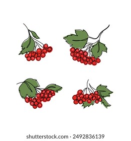 Viburnum branch set continuous line drawing, red berries and green leaves on tree branches, eco icon, tattoo, print, logo design, single line on white, isolated vector hand drawn illustration.