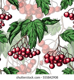 viburnum branches with berries seamless