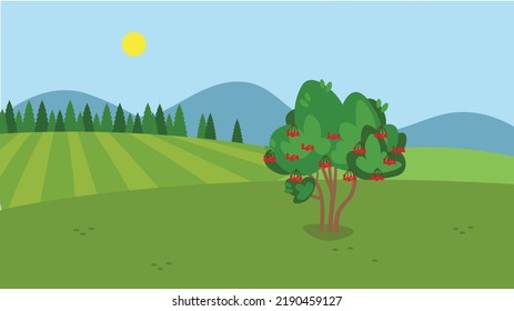 viburnum bush against the background of a green field