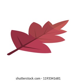 Icono de hoja de árbol rojo Viburnum. Isométrico icono vectorial de hoja de árbol rojo de viburnum para diseño web aislado en fondo blanco