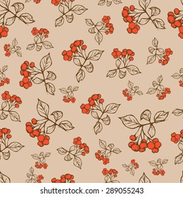 viburnum rowan autumn flowers vector seamless pattern