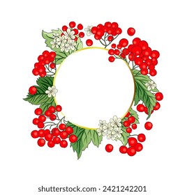 Viburnum rowan circle round red berry vector frame rustic floral bouquet illustration. Wedding greeting design, fresh forest and garden harvest.