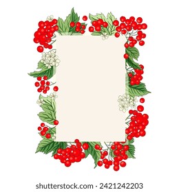 Rótulo vectorial de bayas rowan rectángulo de arándano rojo enmarcado rústico de ramo floral. Diseño de bodas de bienvenida, bosque fresco y cosecha de jardín.