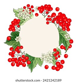 Viburnum rowan roter Beerenvektor Rahmen rustikale Blumenstrauß-Illustration. Hochzeitsgrußdesign, frischer Wald und Gartenernte.