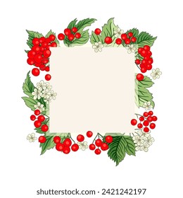 Vector de bayeta rojo viburnum marco rústico de ramo floral ilustración. Diseño de bodas de bienvenida, bosque fresco y cosecha de jardín.