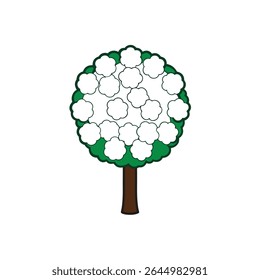 a viburnum tree with snowball like white flower
