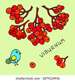 Viburnum twigs and a bird on a light background. The drawing is drawn by hand.
