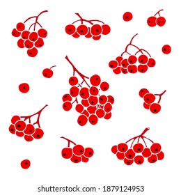 Viburnum twigs drawn on a white background. Doodle drawing style.