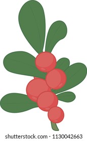 Viburnum vector illustration