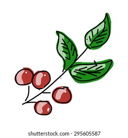 Viburnum, vector illustration