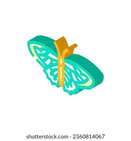 viceroy summer isometric icon vector. viceroy summer sign. isolated symbol illustration