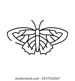 viceroy summer line icon vector. viceroy summer sign. isolated contour symbol black illustration