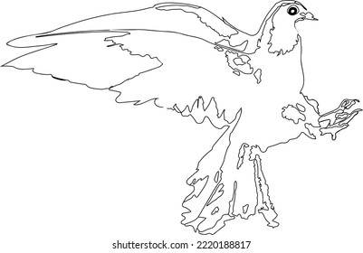 victor of pigeon, dove style line art for decoration idea, coloring book
