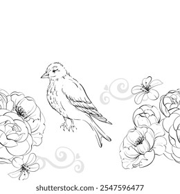 Victorian bird and roses. Border, seamless pattern. Vintage flowers, botanical arrangement. Romantic anemone and peony. For greeting cards, wedding, fabric, printing. Graphic vector line, hand drawn