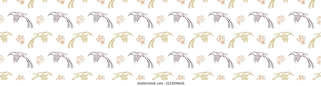 Victorian botanical hummingbird seamless vector border. Vintage bordure of exotic bird . Cute jungle animal backdrop for floral textile. 