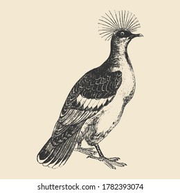 Victorian Crowned Pigeon Vintage Style Drawing