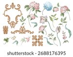Victorian  floral hydrangea and baroque elements isolated. Vector.