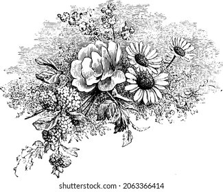 Victorian Floral Illustration Roses and Daisys Vintage Bouque Vector  