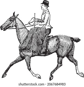 Victorian Horse Rider, Running Horse, Historical Horse Riding, History of Horse Riding