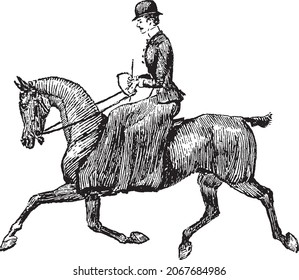 Victorian Horse Rider, Running Horse, Historical Horse Riding, History of Horse Riding