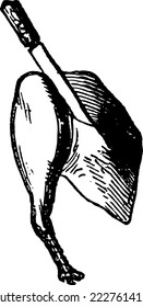 Victorian Image of a Beef Meat Joint