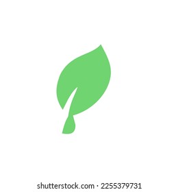 imagen del vencedor de una hoja joven marcada con verde