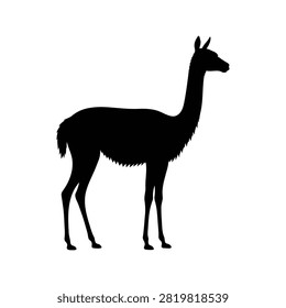 Vicuna silhouette vector flat illustration design.