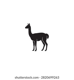 Vicuna silhouette vector flat illustration design.