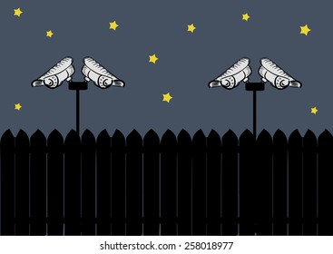 Video camera behind a black fence at night