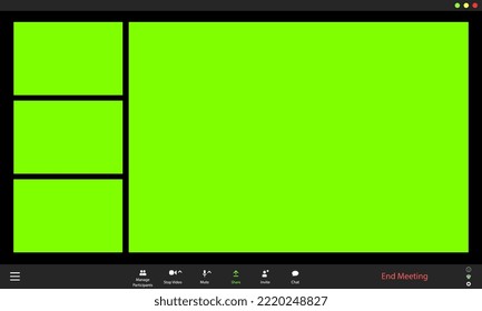 Video conference user interface. Video call window overlay