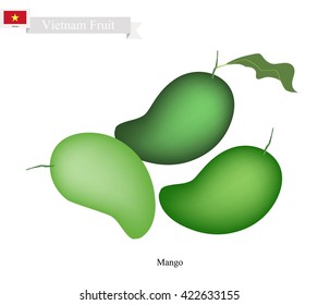 Vietnam Fruit, Illustration of Mango. One of The Most Popular Fruits in Vietnam.