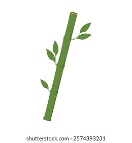 Vietnam Travel Vector Illustration - Bamboo