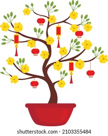 Vietnam yellow blossom  Apricot tree  (Ochna integerrima) flower with hanging lucky envelops for Tet holiday.  - Shutterstock ID 2103355484