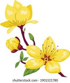 Vẽ hoa mai trên nền vector là một nghệ thuật tinh tế, lấy cảm hứng từ vẻ đẹp tự nhiên của hoa mai. Hãy thưởng thức hình ảnh hoa mai vector và ngắm nhìn các nét vẽ mềm mại, uyển chuyển đầy sáng tạo.