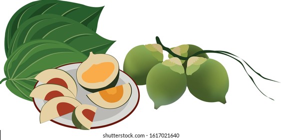 vietnamese custom of betel areca 
