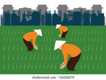 Vietnamese farmer in rice