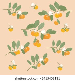 Vietnamese kumquat. This fruit has a sour taste. People display it during the traditional Tet holiday with the belief that it brings luck and prosperity.