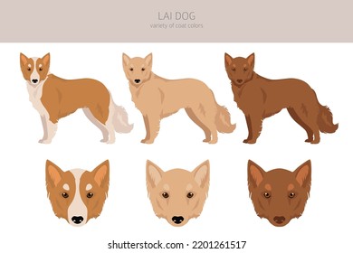 Vietnamese Lai dog clipart. Different coat colors set.  Vector illustration