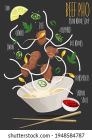 Vietnamese pho beef noodle soup. Vector illustration