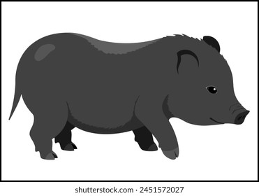 Vietnamese pot-bellied pig. Black mini pig. Cute baby pig. Isolated minimalistic illustration without background.