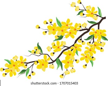 Vietnamese tet holiday with yellow flower