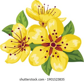 Vietnamese Tet holiday with yellow flower