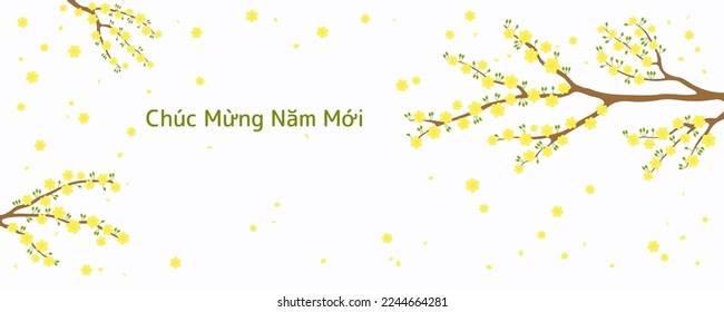 Vietnamese text Happy New Year, yellow apricot blossoms, flowers, tree branches in bloom. Traditional Asian style background. Vector illustration. Design concept for spring, Lunar New Year Tet sale