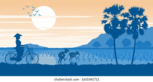 Mujer vietnamita monta un campo de arroz con pase de bicicleta mientras la gente siembra al atardecer, ilustración vectorial