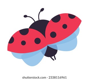 View from above of of cute flying ladybug insect cartoon vector illustration