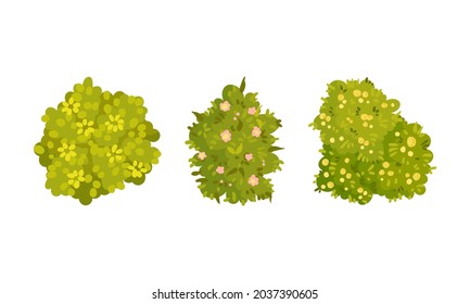 View from above of green bushes set. Park and garden decorative elements, summer landscape design cartoon vector illustration