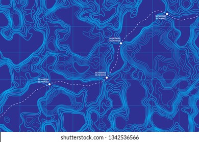 View From Above Lie Of The Ground Conceptual Vector Topographic Map With Route And Coordinates Abstract Blue Background