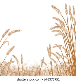 View of across a wheat field with wheat grass strands framing the scene in the foreground.
