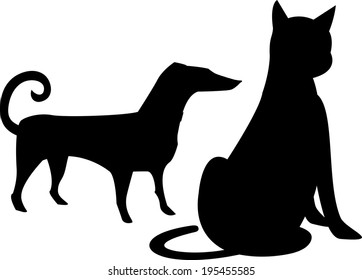 The view of animal 